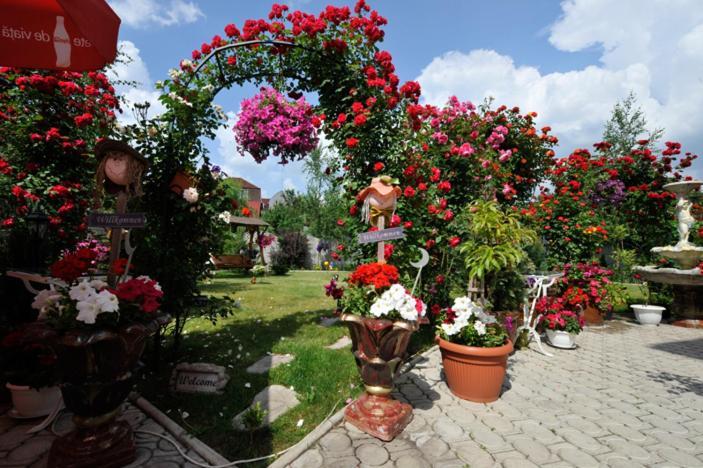 Pensiunea Sofia ทิมิชัวรา ภายนอก รูปภาพ